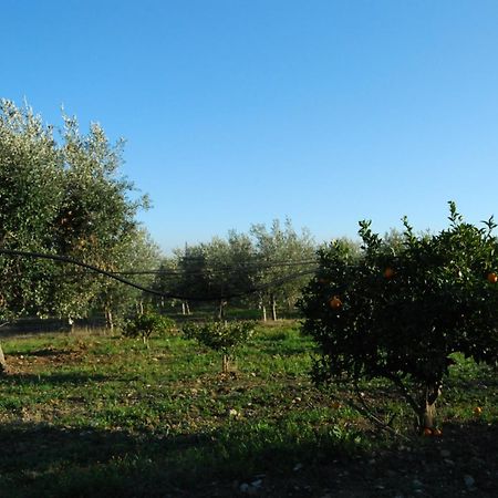 Agriturismo - B&B "La Funicolare" Francavilla Marittima Eksteriør billede
