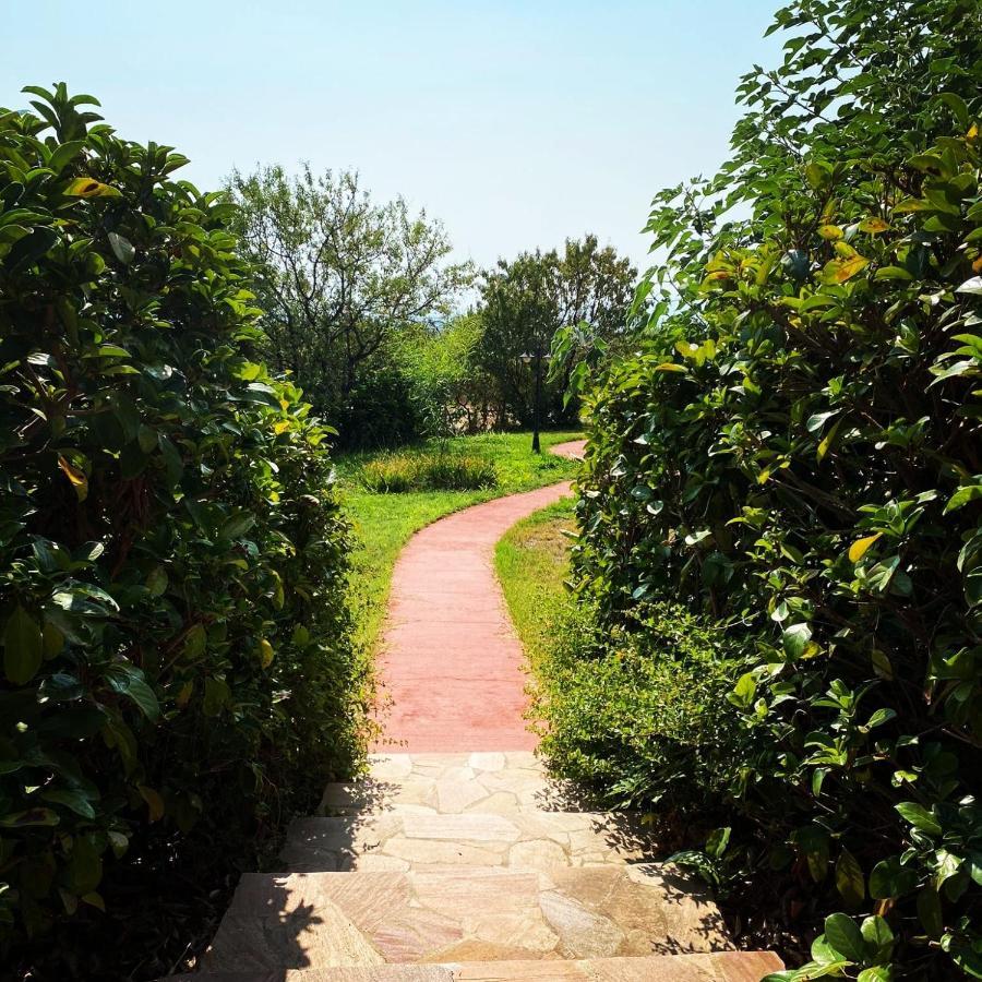 Agriturismo - B&B "La Funicolare" Francavilla Marittima Eksteriør billede