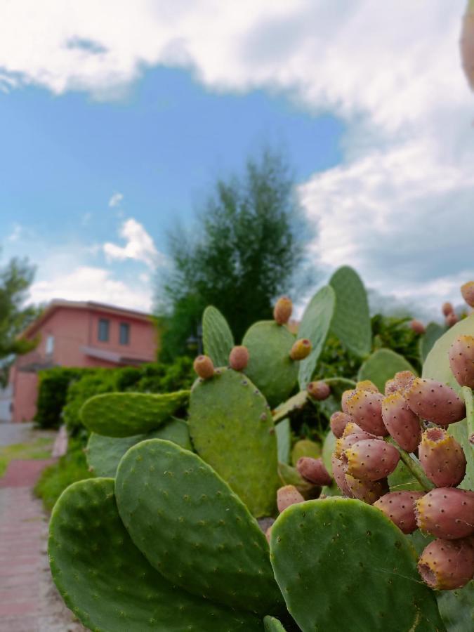 Agriturismo - B&B "La Funicolare" Francavilla Marittima Eksteriør billede