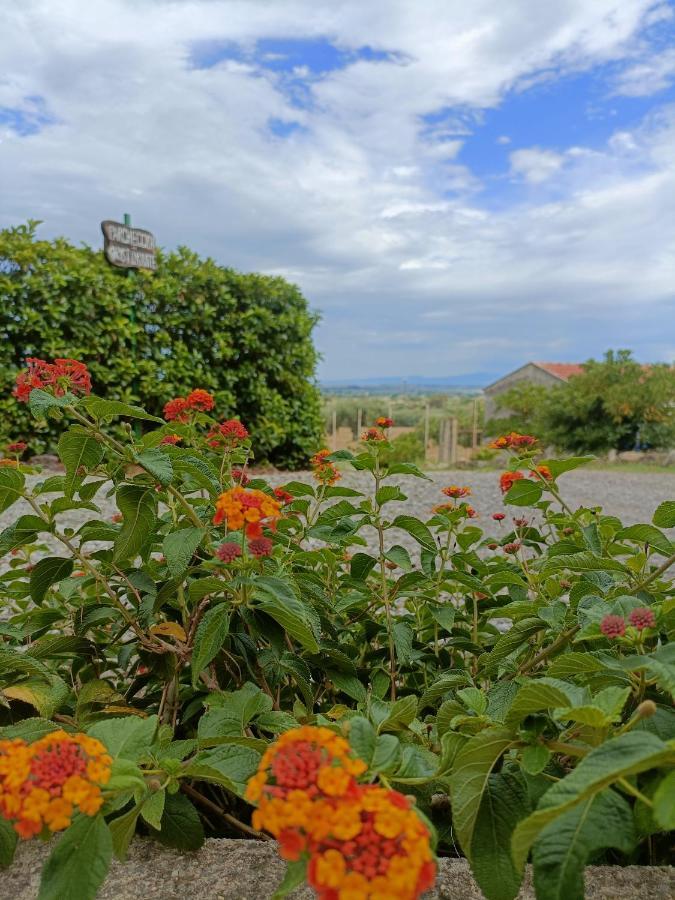 Agriturismo - B&B "La Funicolare" Francavilla Marittima Eksteriør billede