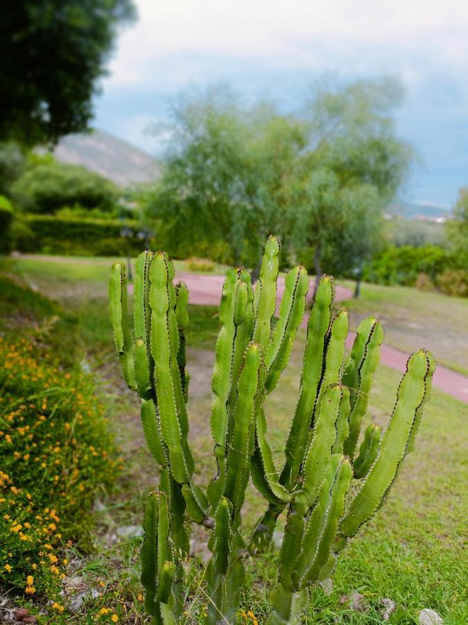 Agriturismo - B&B "La Funicolare" Francavilla Marittima Eksteriør billede