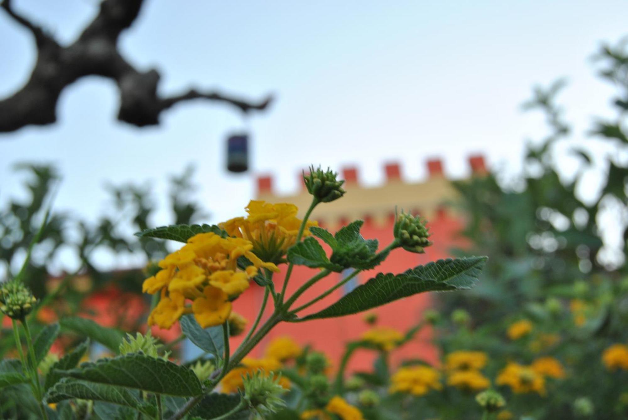 Agriturismo - B&B "La Funicolare" Francavilla Marittima Eksteriør billede